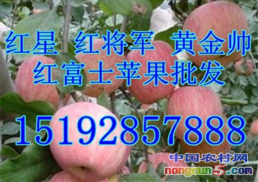 蘋果3