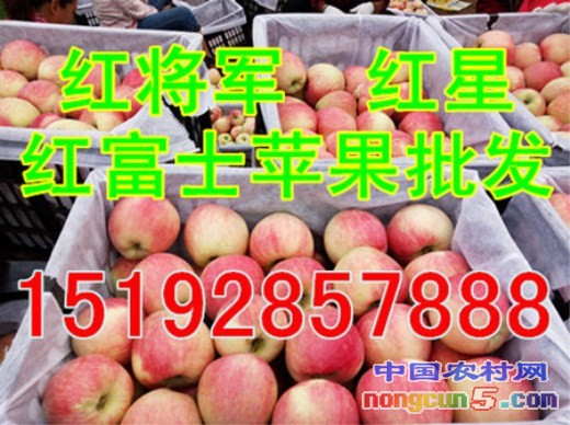 蘋果7