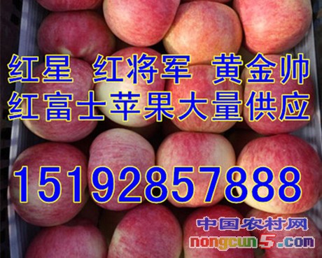 蘋果5字