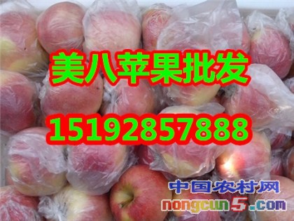 美八4字