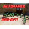 什么地方能買到孔雀多少錢一只