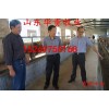 甘肅小牛仔養(yǎng)殖場(chǎng)甘肅小牛仔養(yǎng)殖場(chǎng)