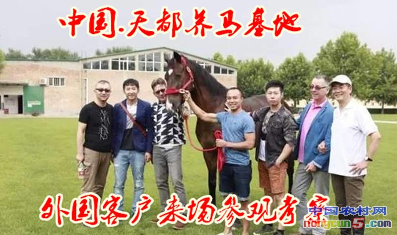 9_副本