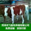 最有前途的養(yǎng)殖業(yè)