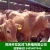 養(yǎng)20頭牛國家補(bǔ)貼多少