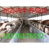 小肉驢大概多少錢價(jià)格