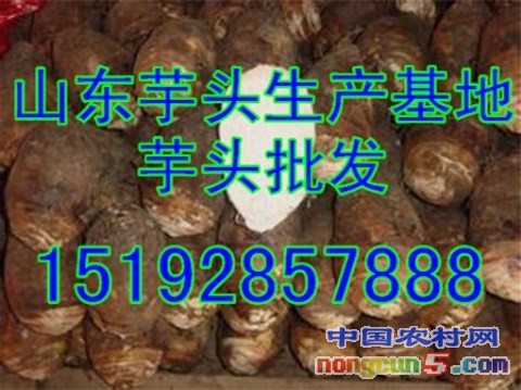 芋頭3字