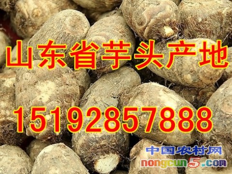 芋頭2字