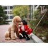 揭陽警犬是馬犬嗎?