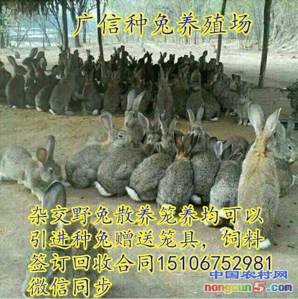 timg123_副本