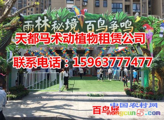 44444_副本