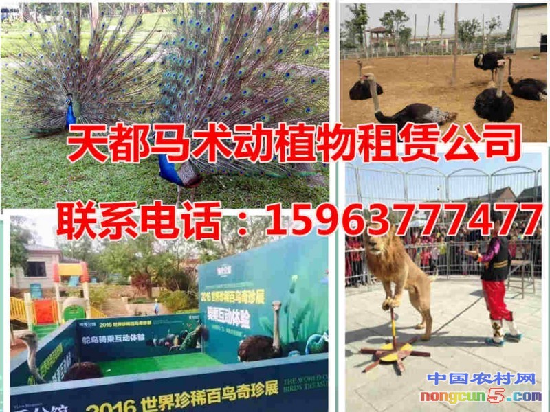 22222_副本