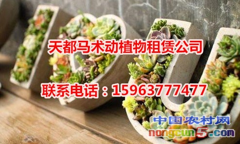 微信截圖_20170930113800_副本_副本