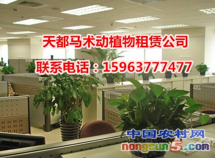 微信截圖_20170930114056_副本