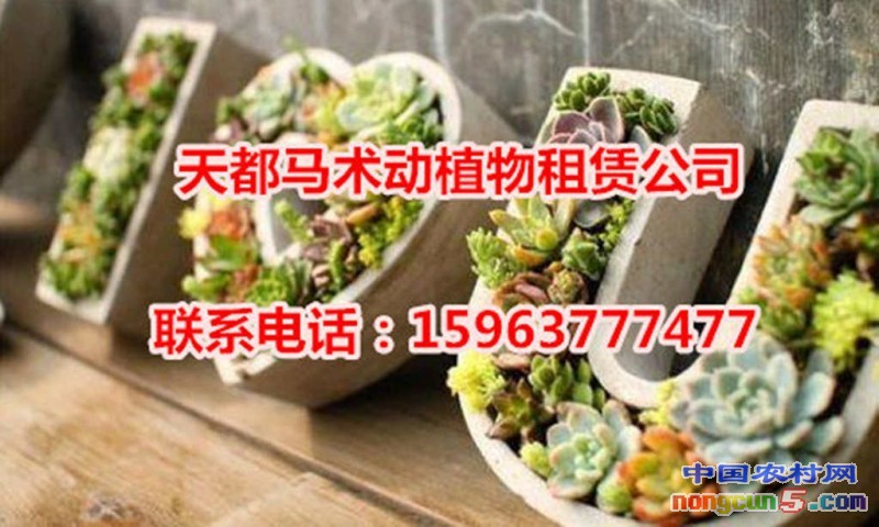 微信截圖_20170930113800_副本_副本_副本