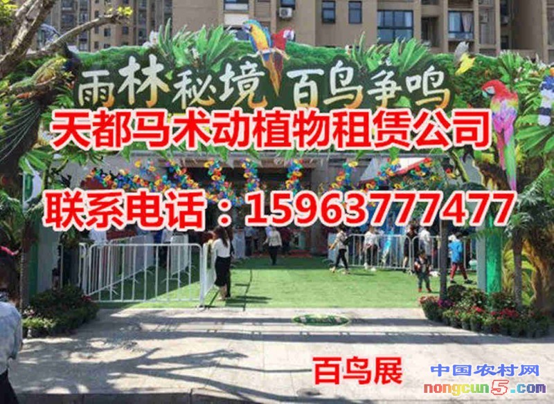 44444_副本_副本