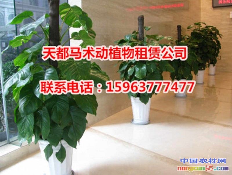 微信截圖_20170930113444_副本_副本