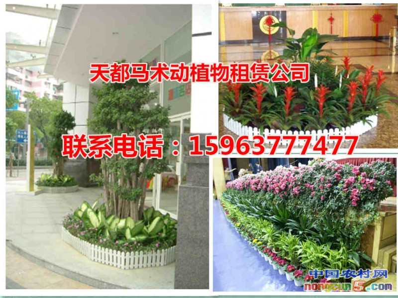 微信截圖_20170930113421_副本_副本