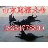 墨界黑狼犬價(jià)格