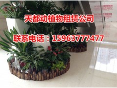 萌寵動物租賃吧