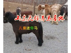 展覽動(dòng)物出租租賃