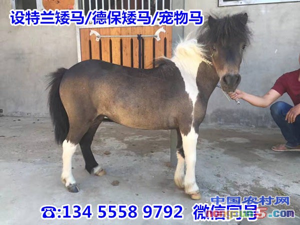 QQ圖片20170620095040_副本_副本