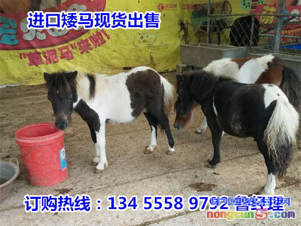 QQ圖片20170905214734_副本_副本