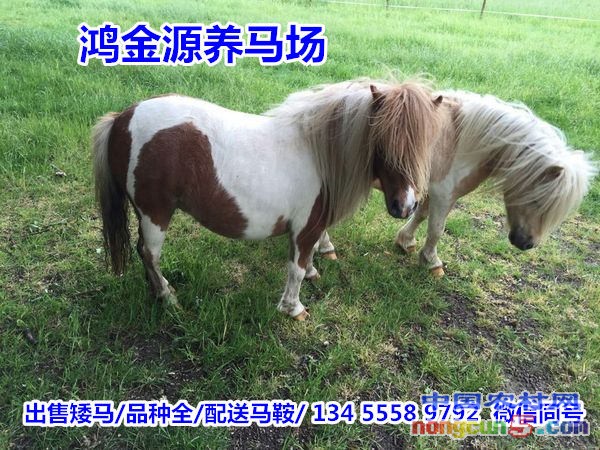 e8e90d4fa6ad427ebc2fca1a96a28ee7_th_副本_副本