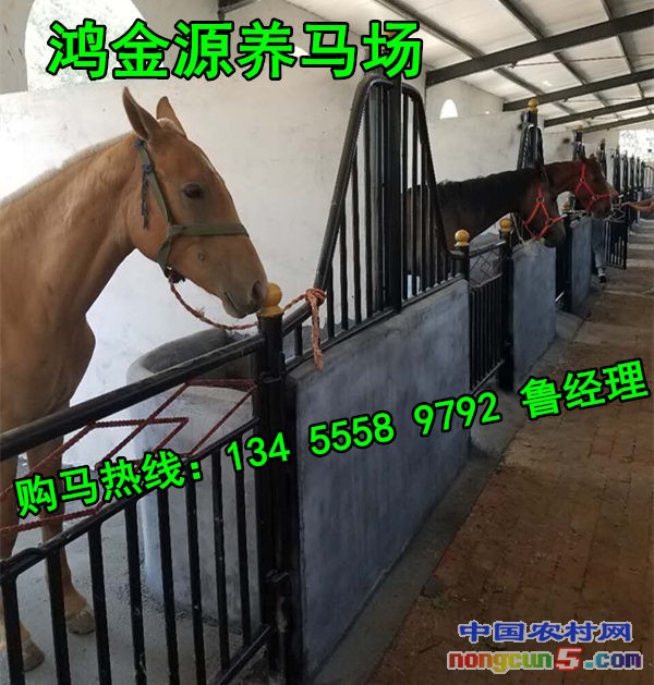 QQ圖片20170526161844_副本