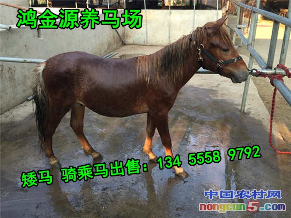 1-1F30923543I31_副本