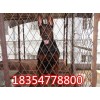 福建萊州紅幼犬價(jià)格