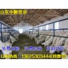 張家界哪里有賣波爾山羊的