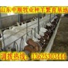 迪慶哪里有賣波爾山羊的