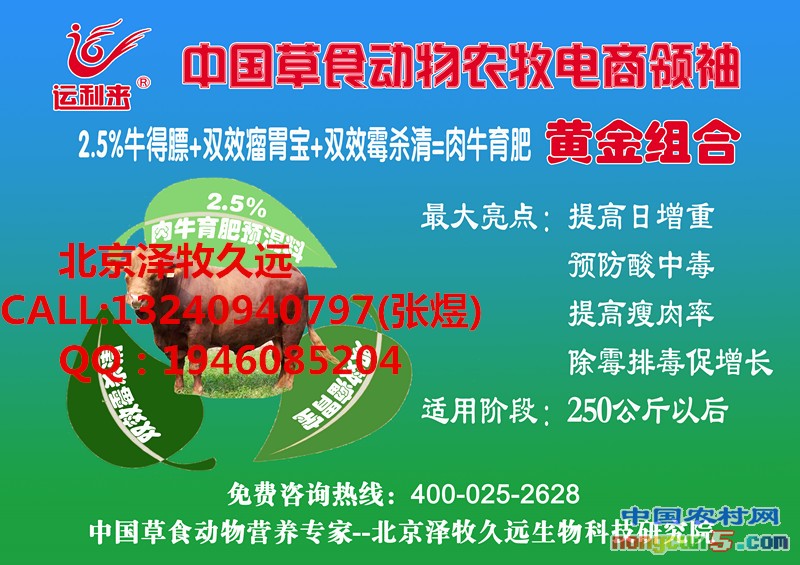 肉牛黃金組合