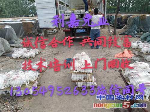 微信圖片_20170728224947