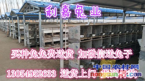 微信圖片_20170615000659