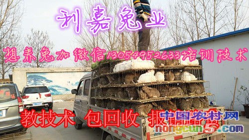 微信圖片_20170615000629