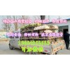 農(nóng)村養(yǎng)兔子利潤(rùn)怎么樣
