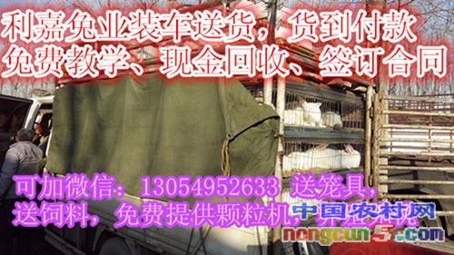 IMG_20161023_150754_副本