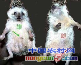 u=3000763020,2614284580&fm=21&gp=0