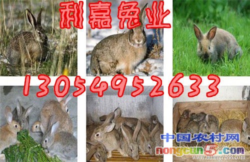 復(fù)件 161f8f05ca0a1b8e
