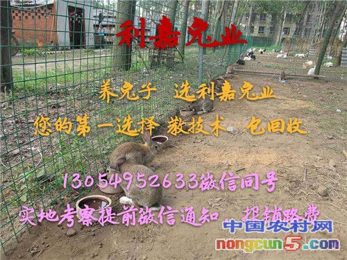 微信圖片_20170728224939