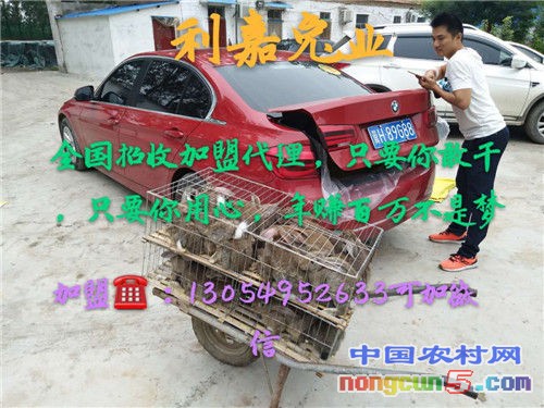 微信圖片_20171009102457