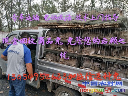 微信圖片_20171009102432