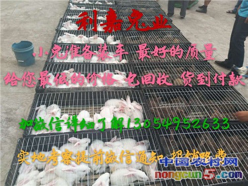 微信圖片_20170728224943