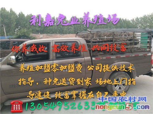 微信圖片_20171009102502