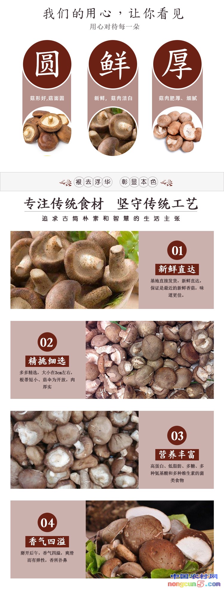 香菇新鮮1