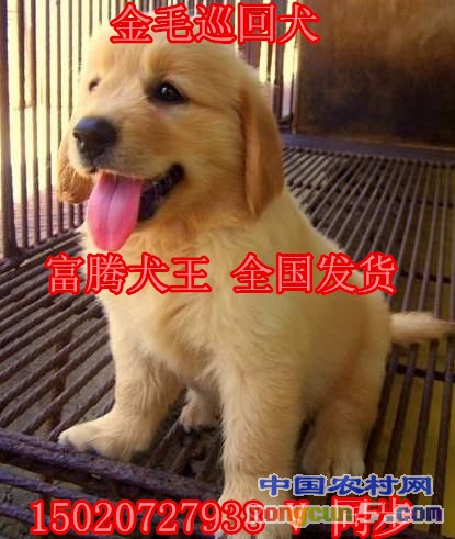 timg (5)_副本