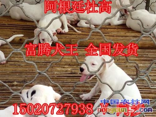 u=3167243919,55773863&fm=27&gp=0_副本