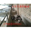 巴馬香豬種豬價(jià)格